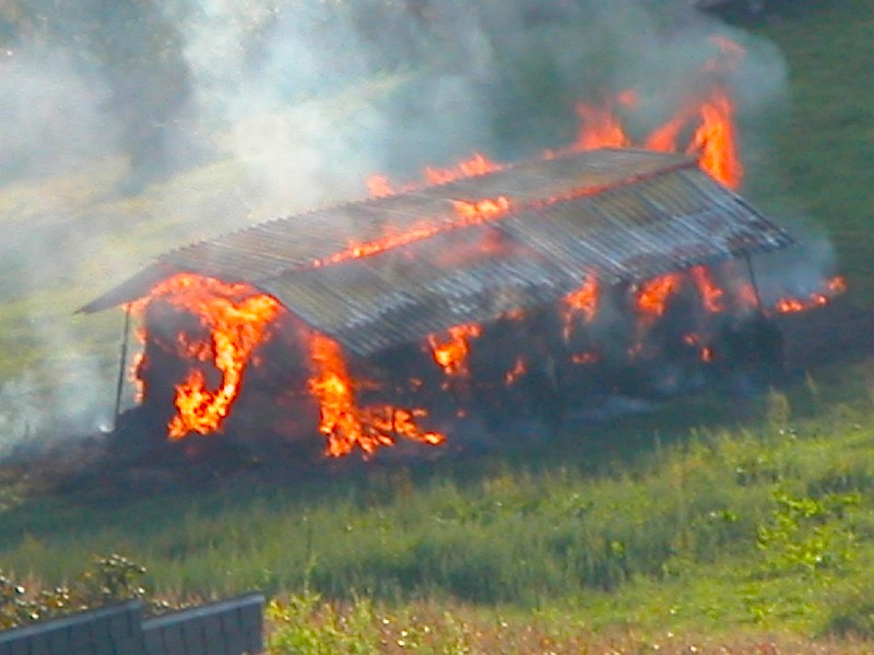 Bild "Einsatzberichte:13_0031_1.JPG"