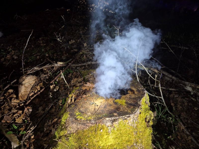 Bild "Einsatzberichte:20260416_Einsatz_Baumstumpf.jpg"