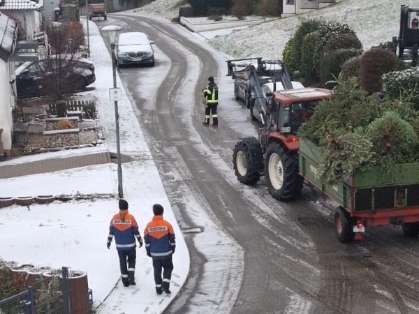 Bild "News:20261001_Christbaumsammlung.jpg"
